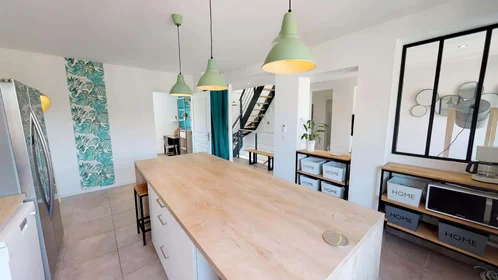 Privatzimmer in der 11 Rue Jules Cambon, 69008 Lyon, France, bild 12 von 25