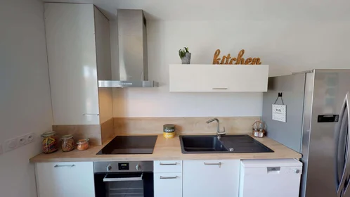 Privatzimmer in der 11 Rue Jules Cambon, 69008 Lyon, France, bild 13 von 25