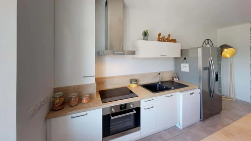 Privatzimmer in der 11 Rue Jules Cambon, 69008 Lyon, France, bild 18 von 25