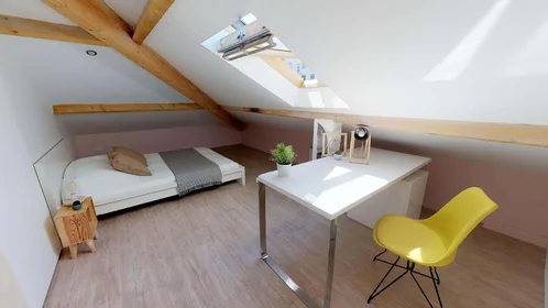 Privatzimmer in der 11 Rue Jules Cambon, 69008 Lyon, France, bild 3 von 25