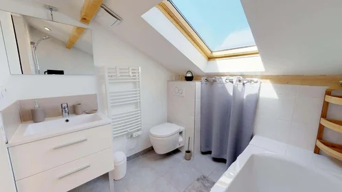 Privatzimmer in der 11 Rue Jules Cambon, 69008 Lyon, France, bild 22 von 25