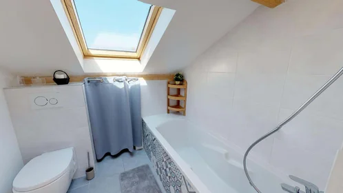 Privatzimmer in der 11 Rue Jules Cambon, 69008 Lyon, France, bild 23 von 25