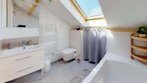 Privatzimmer in der 11 Rue Jules Cambon, 69008 Lyon, France, bild 6 von 25