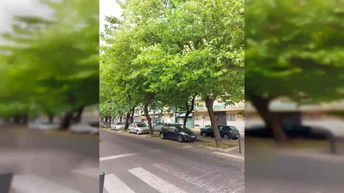Quarto privado em Av. Grão Vasco, Lisboa, Portugal, imagem 19 de 21