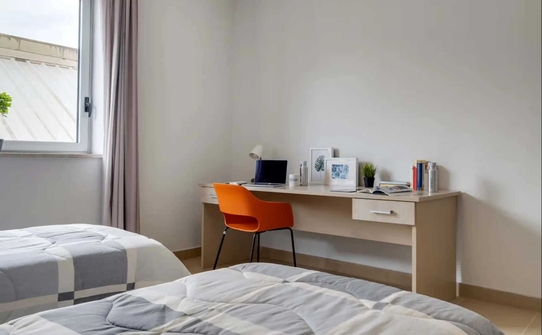 Affordable room for students with ample lighting in 
