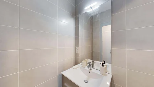 Privatzimmer in der 7 Rue Emile Guichenné, 64000 Pau, France, bild 16 von 23