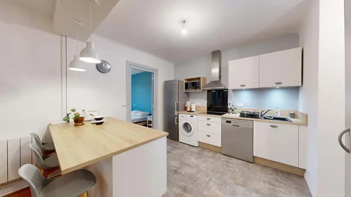 Privatzimmer in der 7 Rue Emile Guichenné, 64000 Pau, France, bild 7 von 23