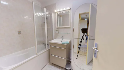 Stanza privata in 32 Rue de la Baïsse, 69100 Villeurbanne, France, immagine 11 di 17