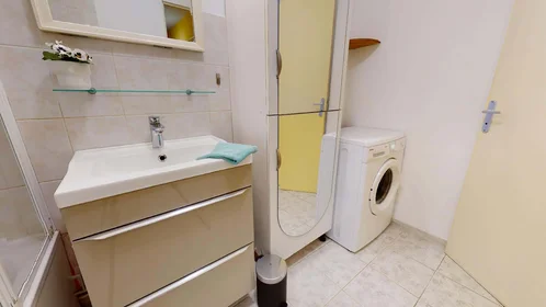Stanza privata in 32 Rue de la Baïsse, 69100 Villeurbanne, France, immagine 12 di 17
