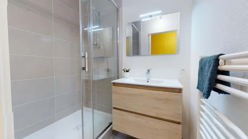Stanza privata in 32 Rue de la Baïsse, 69100 Villeurbanne, France, immagine 13 di 17