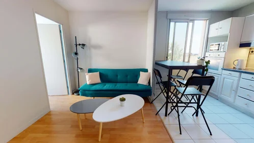 Stanza privata in 32 Rue de la Baïsse, 69100 Villeurbanne, France, immagine 14 di 17