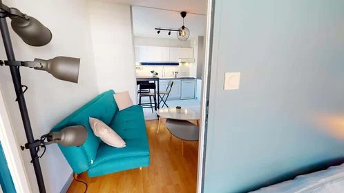 Stanza privata in 32 Rue de la Baïsse, 69100 Villeurbanne, France, immagine 16 di 17
