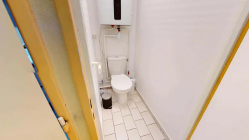 Stanza privata in 32 Rue de la Baïsse, 69100 Villeurbanne, France, immagine 17 di 17