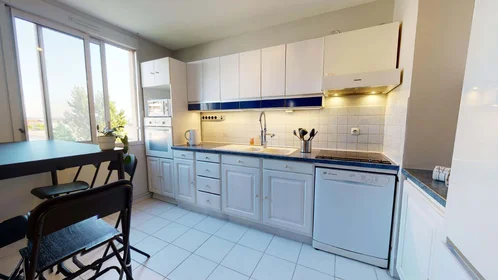 Stanza privata in 32 Rue de la Baïsse, 69100 Villeurbanne, France, immagine 7 di 17