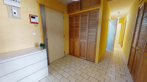 Stanza privata in 32 Rue de la Baïsse, 69100 Villeurbanne, France, immagine 8 di 17