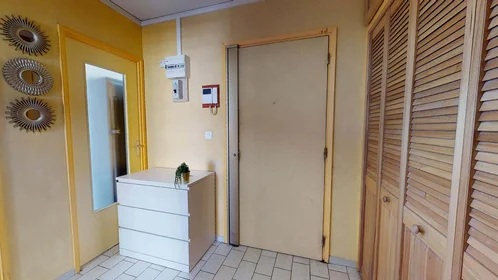 Stanza privata in 32 Rue de la Baïsse, 69100 Villeurbanne, France, immagine 9 di 17