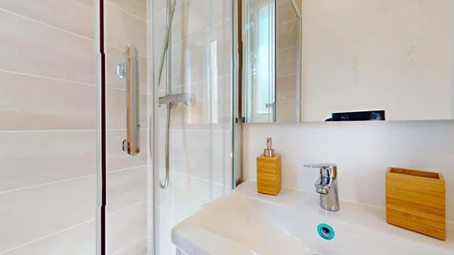 Prywatny pokój 20 Av. Edouard Michelin, 63000 Clermont-Ferrand, France, obraz 8 22