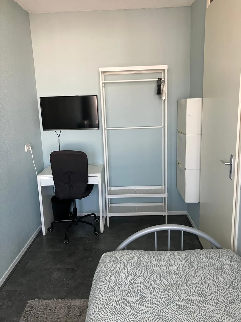 Bezahlbares Zimmer für Studenten mit ausreichender Beleuchtung in 