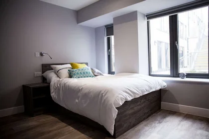 Entire apartment in residence at Crown Place 1-6 St Andrew's Pl, Cardiff CF10 3BE, United Kingdom, image 15 of 22