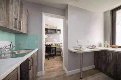 Entire apartment in residence at Crown Place 1-6 St Andrew's Pl, Cardiff CF10 3BE, United Kingdom, image 4 of 22