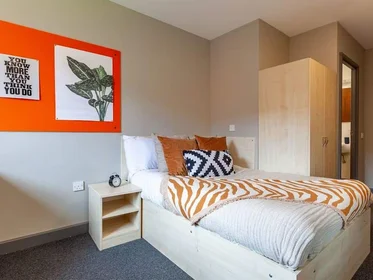 Prywatny pokój w rezydencji Boston Street, Sheffield, S2 4QG, obraz 14 22