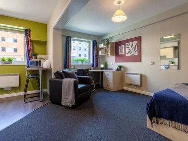 Prywatny pokój w rezydencji Boston Street, Sheffield, S2 4QG, obraz 18 22