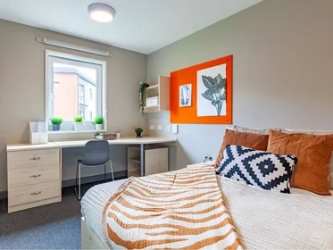 Prywatny pokój w rezydencji Boston Street, Sheffield, S2 4QG, obraz 20 22