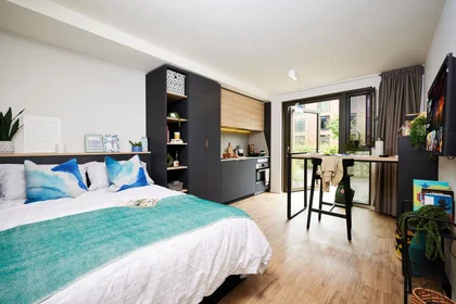 Estudio en residencia en B5 7RL, imagen 2 de 21