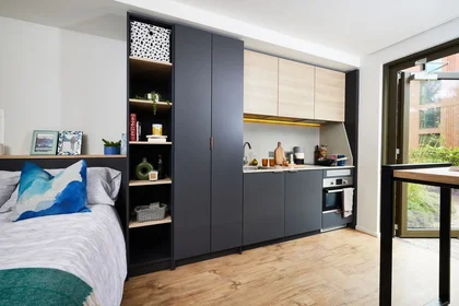 Estudio en residencia en B5 7RL, imagen 4 de 21