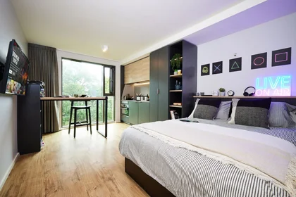 Estudio en residencia en B5 7RL, imagen 2 de 22