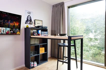 Estudio en residencia en B5 7RL, imagen 7 de 22