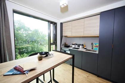 Estudio en residencia en B5 7RL, imagen 8 de 22