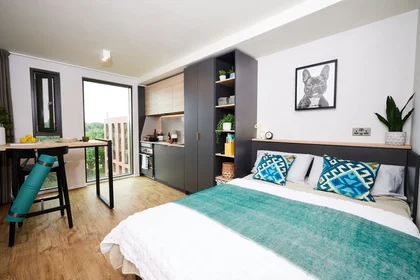 Estudio en residencia en B5 7RL, imagen 2 de 22