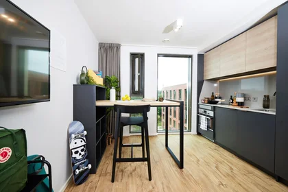 Estudio en residencia en B5 7RL, imagen 7 de 22