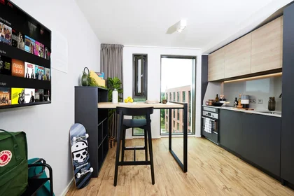 Estudio en residencia en B5 7RL, imagen 8 de 22