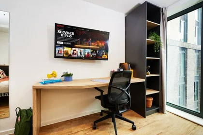 Monolocale in residence in Cardiff, immagine 4 di 12