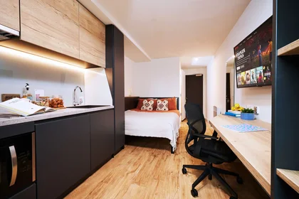 Monolocale in residence in Cardiff, immagine 5 di 12
