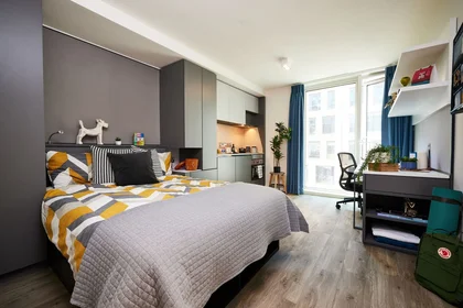 Estudio en residencia en Strawberry Place, imagen 6 de 19