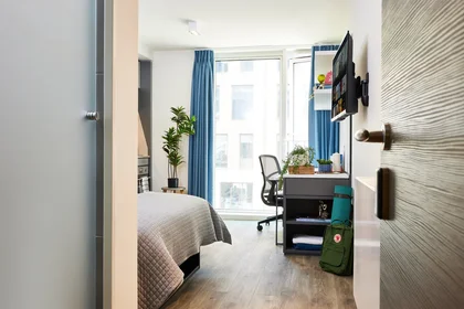 Estudio en residencia en Strawberry Place, imagen 7 de 19