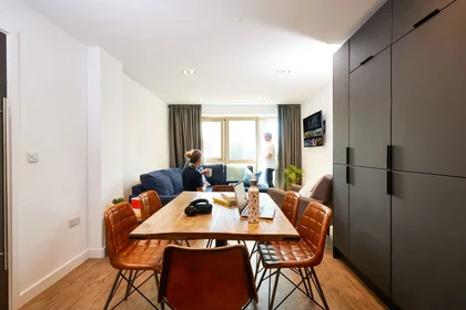 Kawalerka w rezydencji London, obraz 3 21