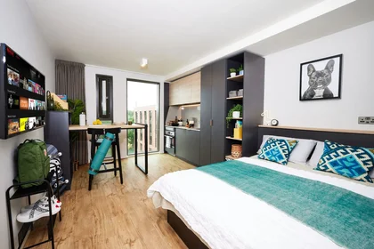 Estudio en residencia en B5 7RL, imagen 1 de 22