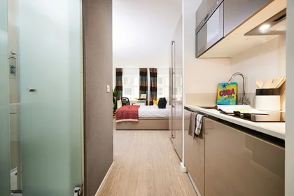 Kawalerka w rezydencji Cheapside 21, obraz 1 16