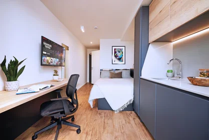 Studio in residence at Warwick Road 23, image 7 of 18