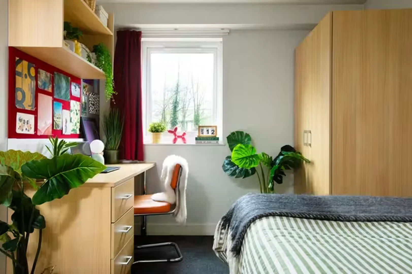 Habitación estudiantil económica cerca del campus en 
