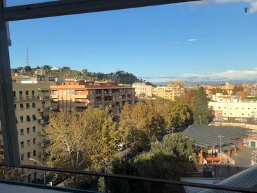Stanza privata in Via Cipro, immagine 7 di 20