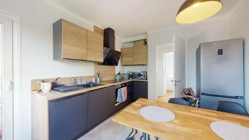 Private room at 5 Pl. Saint-Antoine, 67200 Strasbourg, France, image 4 of 8