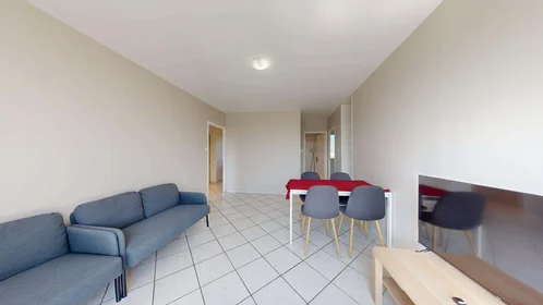 Chambre privée à 12 Rue Federico Garcia Lorca, 38100 Grenoble, France, image 1 de 10