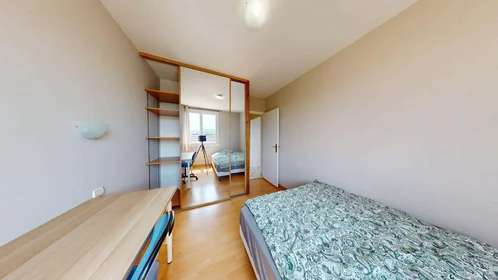 Chambre privée à 12 Rue Federico Garcia Lorca, 38100 Grenoble, France, image 2 de 14