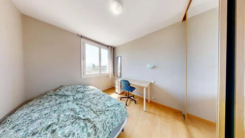 Chambre privée à 12 Rue Federico Garcia Lorca, 38100 Grenoble, France, image 4 de 14