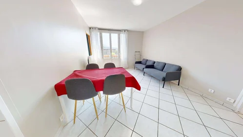 Chambre privée à 12 Rue Federico Garcia Lorca, 38100 Grenoble, France, image 8 de 14